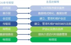 创业网络有哪些类型？一文解析三种常见模式