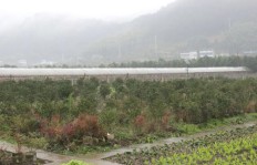 田园农庄养殖哪种项目盈利最快？