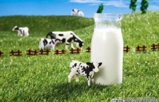 济南绿宝乳业品质如何，值得信赖吗？