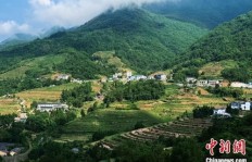 陕西哪个村庄被誉为最会赚钱的致富宝地？
