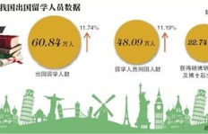 选择保险行业，哪个专业更具优势？