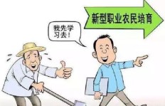 卖梨真的能赚钱吗？梨农的盈利秘诀是什么？