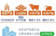 农村居民如何选择适合自己的副业增收途径？