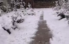 大雪覆盖农村，有哪些赚钱机会可以把握？