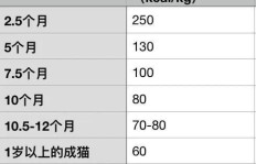 正新鸡排的大卡路里含量你知道吗？一份能提供多少能量？
