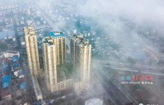 舒城县副业繁荣背后，究竟有何独特之处？