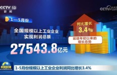 谁是中国互联网盈利之巅？探寻最赚钱的网站之谜