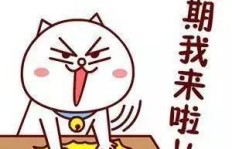年假期间有哪些适合的兼职工作推荐？