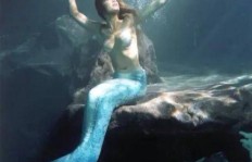 美人鱼肚脐贴真的那么神奇？微商热销背后的秘密是什么？