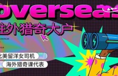 为何赚钱火山版收益竟不敌极速版？真相令人深思！