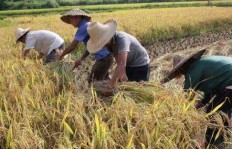 定边种地真的能赚钱吗？农民朋友的收入真相如何？