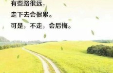 如何利用壁纸头像开启高收益副业之路？