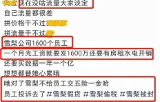 雪梨网真的能实现盈利吗？它的赚钱模式靠谱吗？