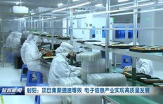 代看猫咪如何实现高收益？最佳赚钱方法大探讨