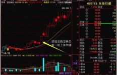 如何通过炒股实现财富增长？成功案例深度解析