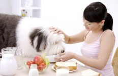 女生经营宠物副业，真的容易上手吗？