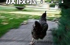 神兽出笼后，家长如何发掘孩子的潜力副业？