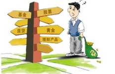 哪种资金投入能快速盈利？你不可不知的投资秘诀