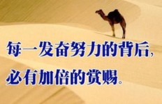 为何我们非得拼命赚钱？揭开努力背后的深层动机