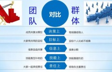 如何打造高效副业联盟团队？全面解析团队构建与运营策略