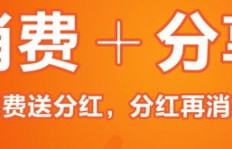 云集品真的能赚钱吗？它的盈利模式是怎样的？