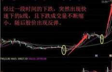 炒金螳螂股票真的能盈利吗？投资者如何看其前景？
