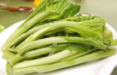 芥菜在哪个季节销售最赚钱？把握最佳时机盈利攻略