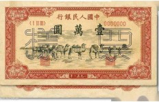 当前哪种纸币最具投资潜力，能带来高收益？