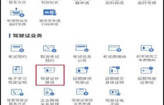 补办驾照后副业信息消失，是操作失误还是系统问题？
