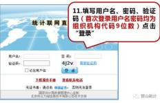 如何选择靠谱的网拍接单平台？新手必看指南！