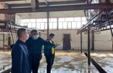在牛羊肉屠宰厂工作，收入水平如何？