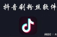 抖音是否存在能赚钱的特殊版本？真相令人好奇！
