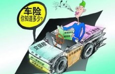 哪类车险既经济实惠又能带来高收益？