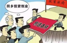 孙女回乡创业，究竟做什么生意能快速盈利？
