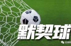 足球与篮球，哪个项目更易实现财富积累？