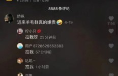 这个项目赚钱，那个项目也赚钱，究竟哪个更靠谱？