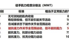 美容从业者如何拓展副业领域？有哪些可行选择？