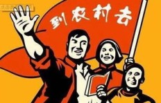 在农村，哪些生意虽然赚钱但见效较慢？