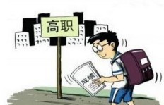 泸州有哪些值得一试的副业选择？