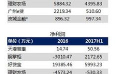 如何成功运营网络公司实现盈利？
