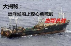 船员在海上能做哪些合法副业增加收入？