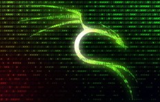 Kali Linux如何助力你实现财务自由？