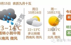 如何在现代生活中找到高收入的赚钱途径？
