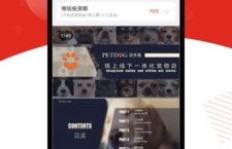 如何选择适合自己的线上副业开店APP？新手必看指南！
