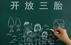 浦林轮胎质量究竟如何？耐磨性能是否经得起考验？