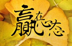 如何准确表达“一心只想赚钱”的心态？