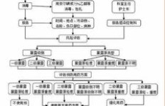 离职后五险如何处理？办理流程详解