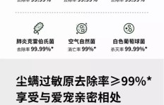 我们是否真的需要开展副业来提升生活品质？