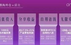 张诗尧是如何实现财富积累的？