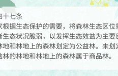 林业局副业工究竟是如何在林业发展中发挥独特作用的？
